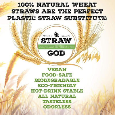 Disposable Wheat Straw