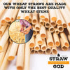 Disposable Wheat Straw